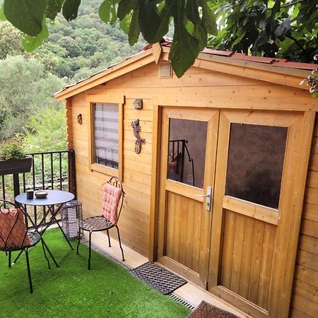 Loue Chalet De 11M2 Auribeau-sur-Siagne Ngoại thất bức ảnh